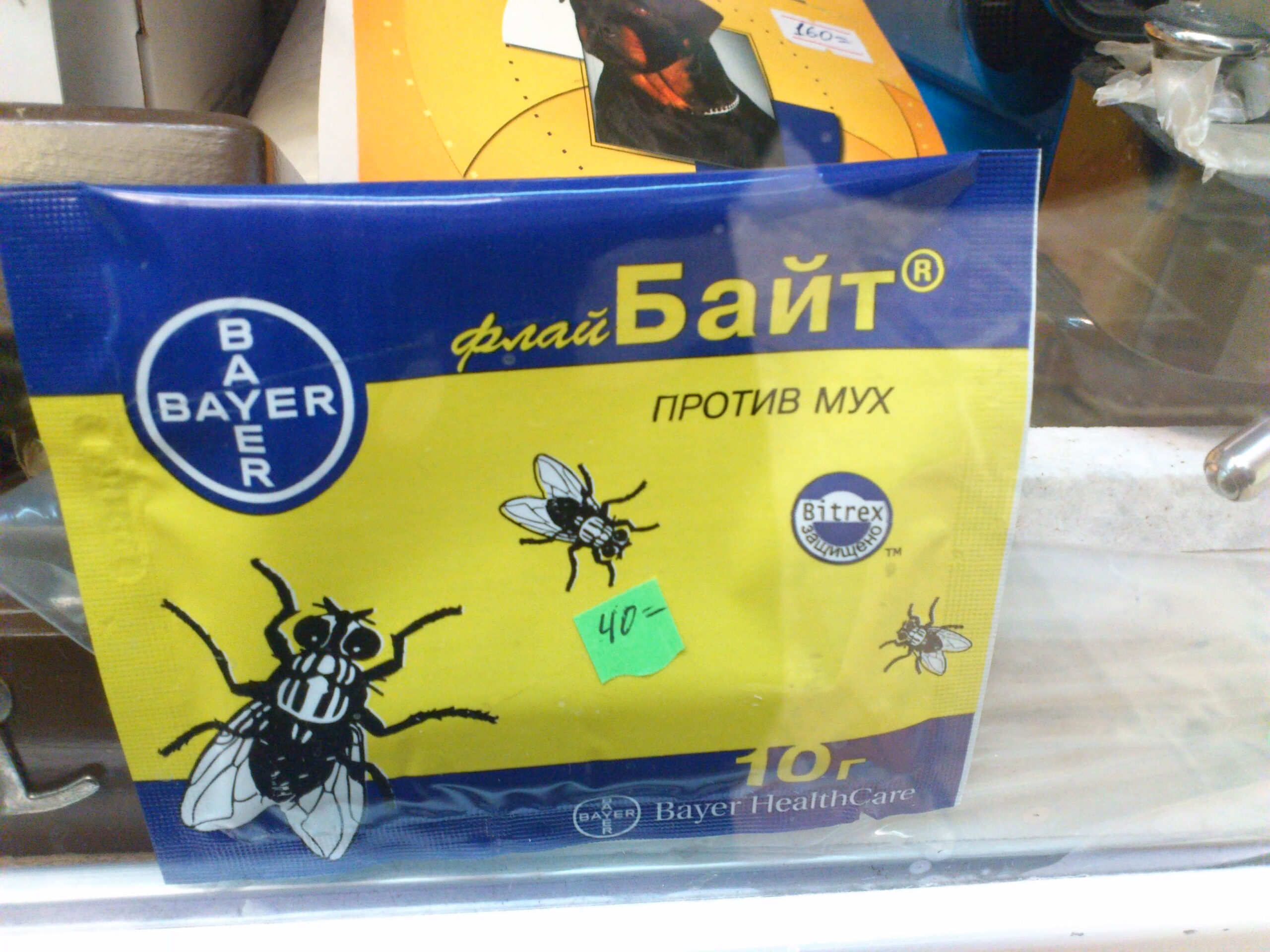 Вирішення проблем з мухами в будинку