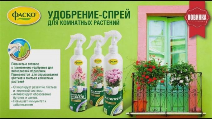 Добриво для кімнатних квітів: огляд кращого підживлення, інструкції щодо застосування