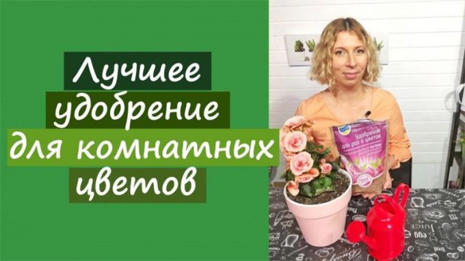 Добриво для кімнатних квітів: огляд кращого підживлення, інструкції щодо застосування