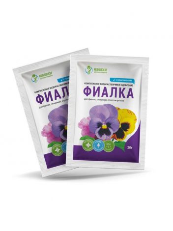 Фіалки: опис кімнатної квітки, види, правила догляду, розмноження, підживлення, фото