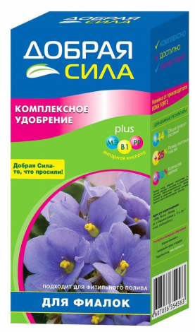 Фіалки: опис кімнатної квітки, види, правила догляду, розмноження, підживлення, фото