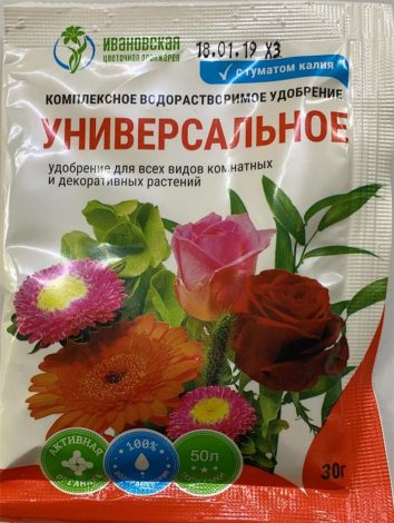 Хрестовник (100 фото): догляд за рослиною в домашніх умовах, посадка, підживлення, як поливати, пересадка