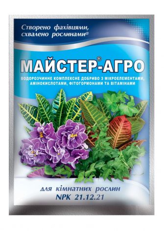 Кімнатний евкаліпт (130 фото): догляд у домашніх умовах, посадка, підживлення, розмноження, як і коли поливати