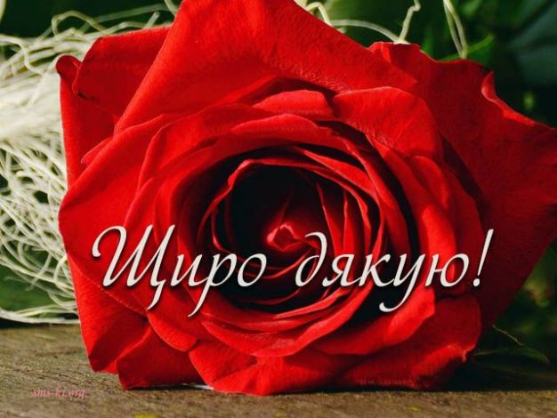 Кращі слова подяки колегам по роботі у прозі, українською мовою