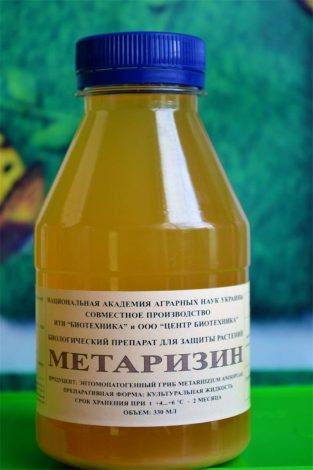 Метаризин – покрокова інструкція із застосування, огляд ефективності захисту рослин