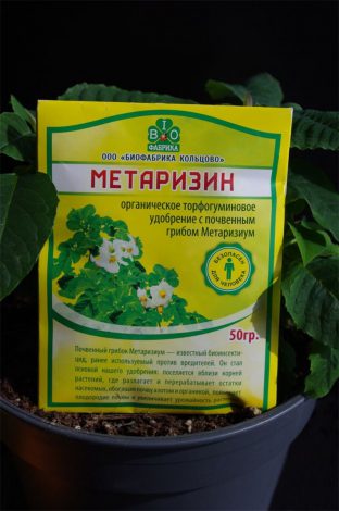 Метаризин – покрокова інструкція із застосування, огляд ефективності захисту рослин