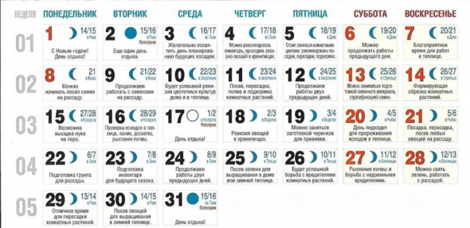 Місячний календар для кімнатних квітів по місяцях на 2022 рік – сприятливі дні