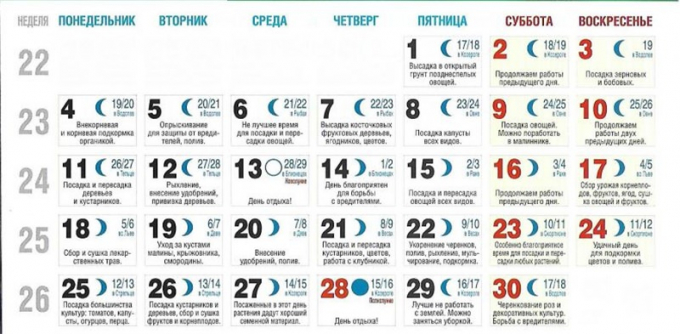 Місячний календар для кімнатних квітів по місяцях на 2022 рік – сприятливі дні