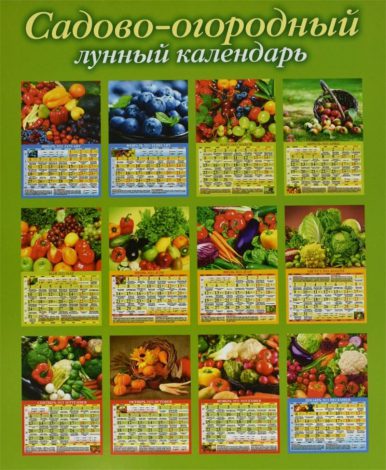 Місячний календар для кімнатних квітів по місяцях на 2022 рік – сприятливі дні