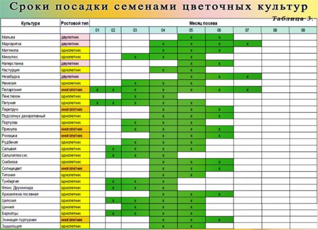 Місячний календар для кімнатних квітів по місяцях на 2022 рік – сприятливі дні