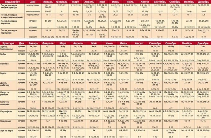 Місячний календар для кімнатних квітів по місяцях на 2022 рік – сприятливі дні