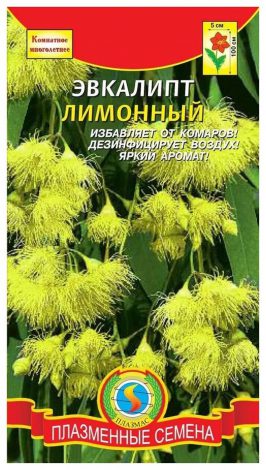 Насіння кімнатних квітів: як вибрати, де купити, посадка та догляд у домашніх умовах