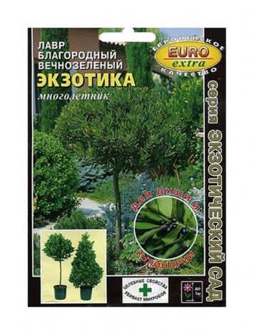 Насіння кімнатних квітів: як вибрати, де купити, посадка та догляд у домашніх умовах