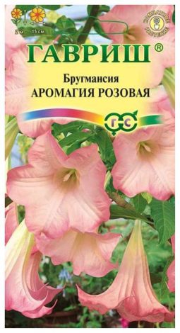 Насіння кімнатних квітів: як вибрати, де купити, посадка та догляд у домашніх умовах