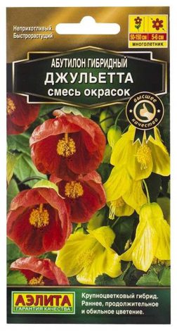 Насіння кімнатних квітів: як вибрати, де купити, посадка та догляд у домашніх умовах