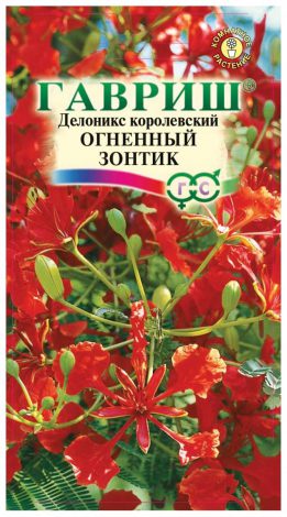 Насіння кімнатних квітів: як вибрати, де купити, посадка та догляд у домашніх умовах