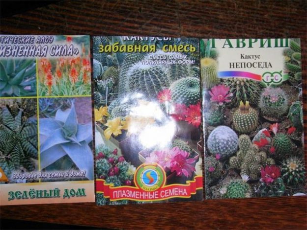 Насіння кімнатних квітів: як вибрати, де купити, посадка та догляд у домашніх умовах