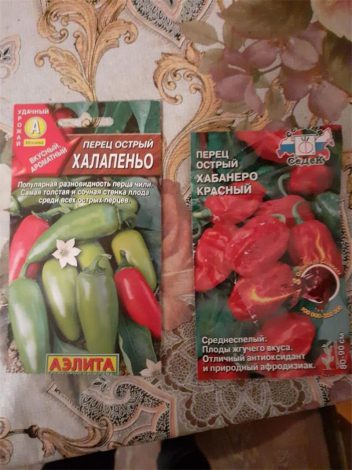 Насіння кімнатних квітів: як вибрати, де купити, посадка та догляд у домашніх умовах