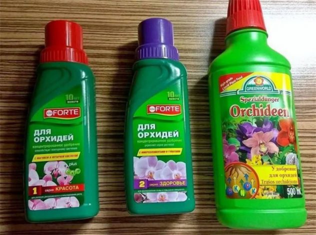 Орхідея зигопеталум: вирощування та догляд у домашніх умовах, як поливати, пересадка, фото