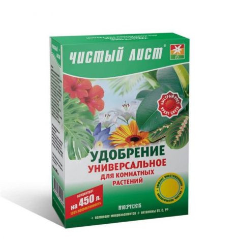 Пахіра: фото, види, цікаві факти, особливості вирощування, пересадка, розмноження