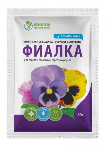 Сенполія (Узамбарська фіалка) – опис по догляду в домашніх умовах, фото квітки, види, як поливати, підживлення