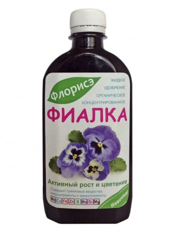 Сенполія (Узамбарська фіалка) – опис по догляду в домашніх умовах, фото квітки, види, як поливати, підживлення