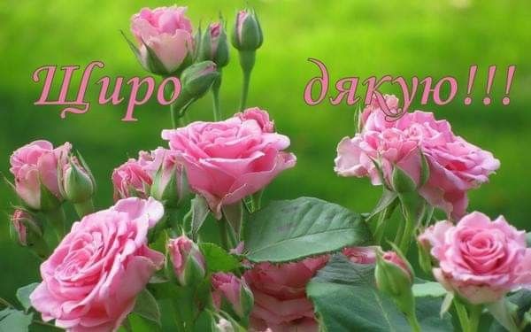 Слова подяки друзям простими словами