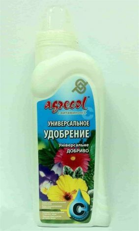 Тілландсія (140 фото): догляд у домашніх умовах, правила поливу, зовнішній вигляд, цвітіння, підживлення