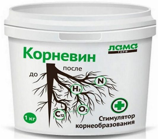 Застосування кореневіна для кімнатних рослин, правила використання стимулятора