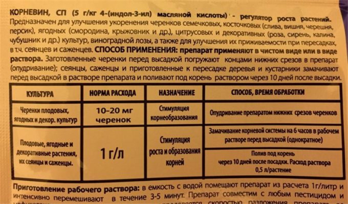 Застосування кореневіна для кімнатних рослин, правила використання стимулятора