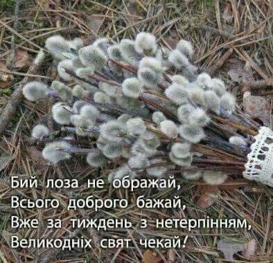 Зворушливі привітання з Вербною неділею у прозі, до сліз