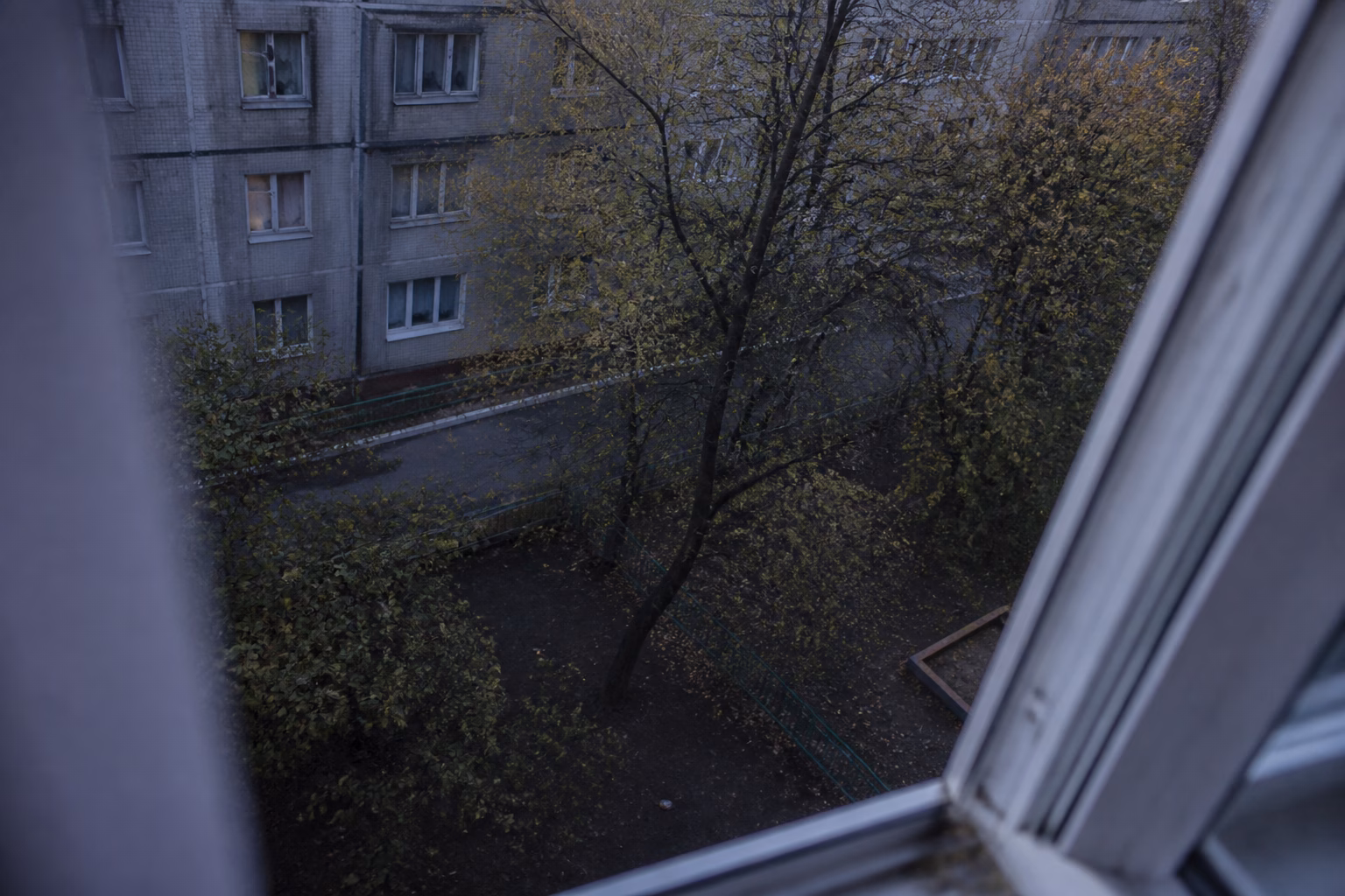 Вигляд з вікна верхнього поверху на двір, що викликає відчуття висоти